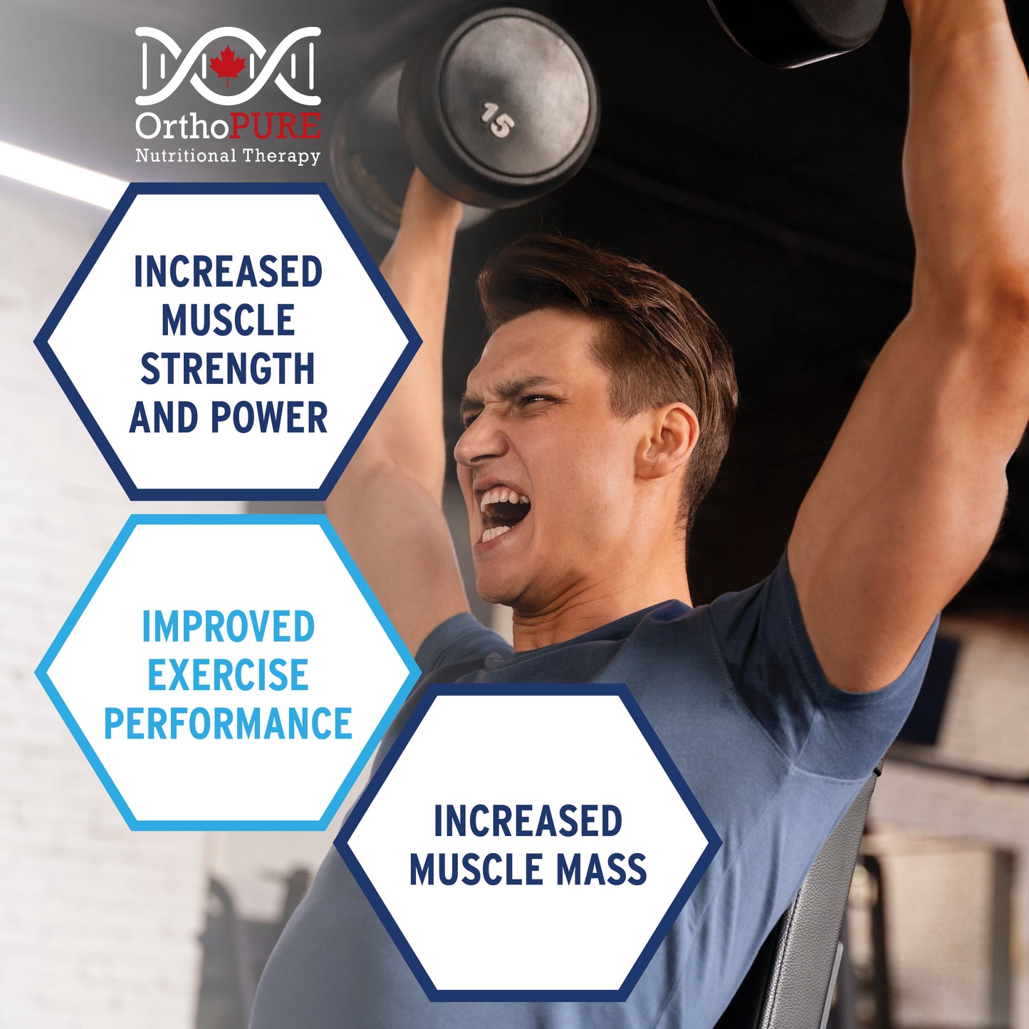 OrthoPure Creatine Monohydrate - 400g